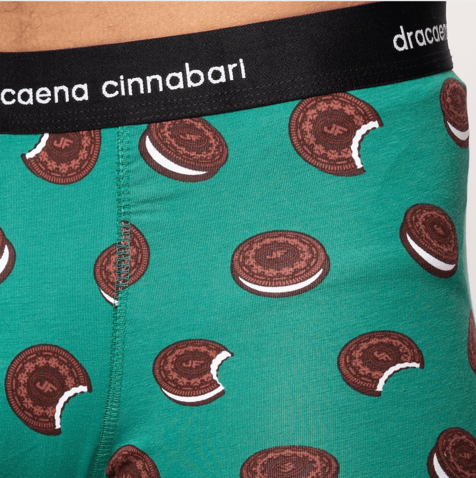 Men's Cotton Boxer, Green, Digital Print with Biscuit Illustration