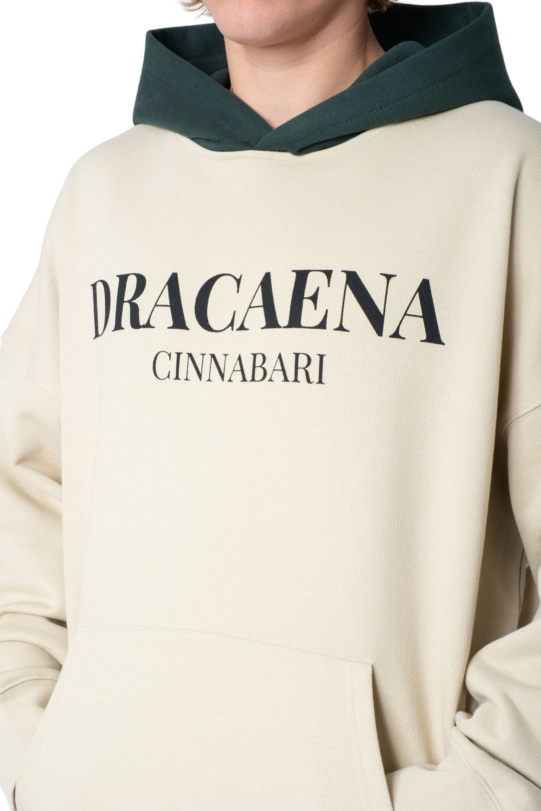 هودي بيج بطباعة DRACAENA CINNABARI