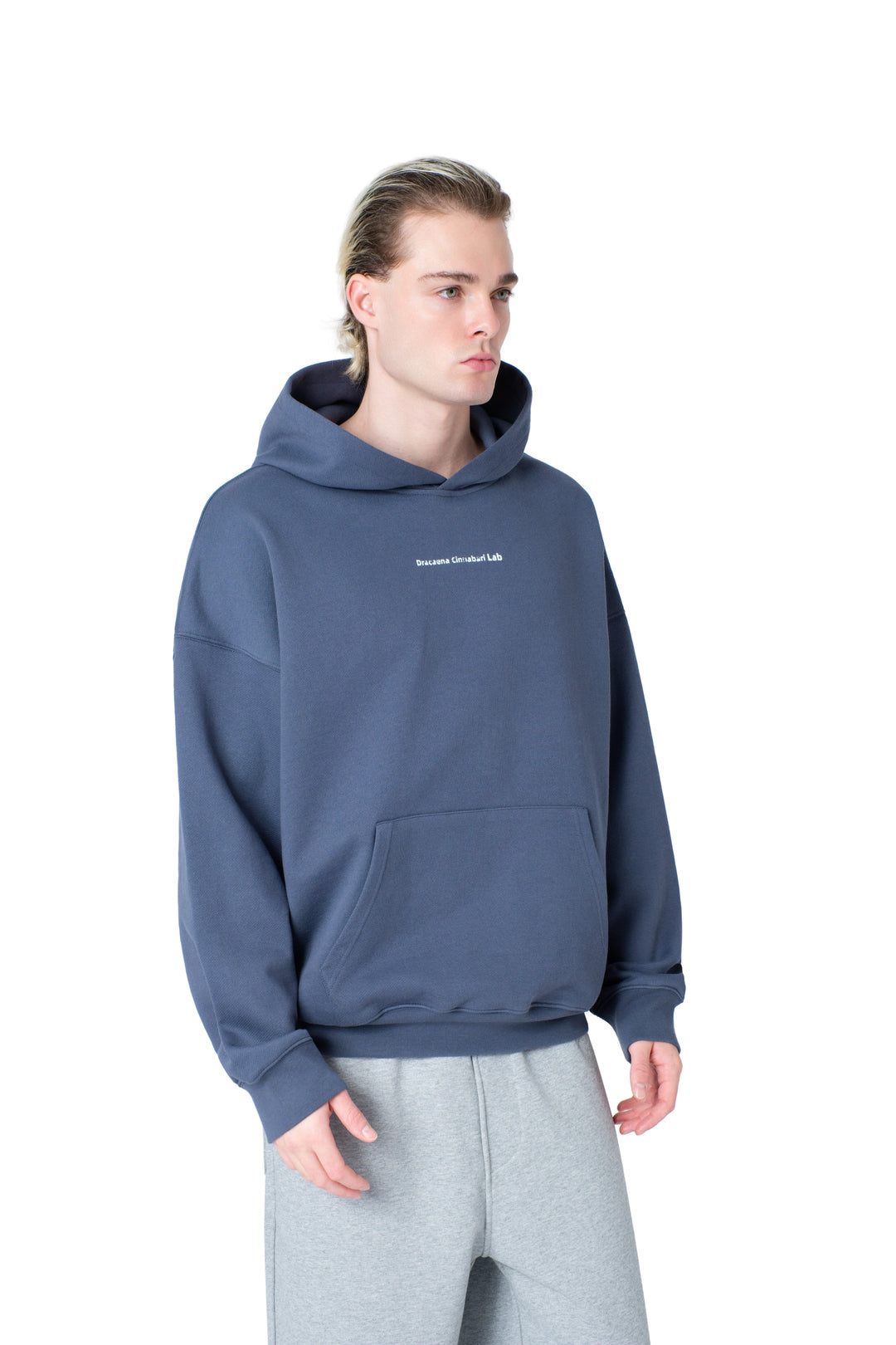 هودي dracaena lab