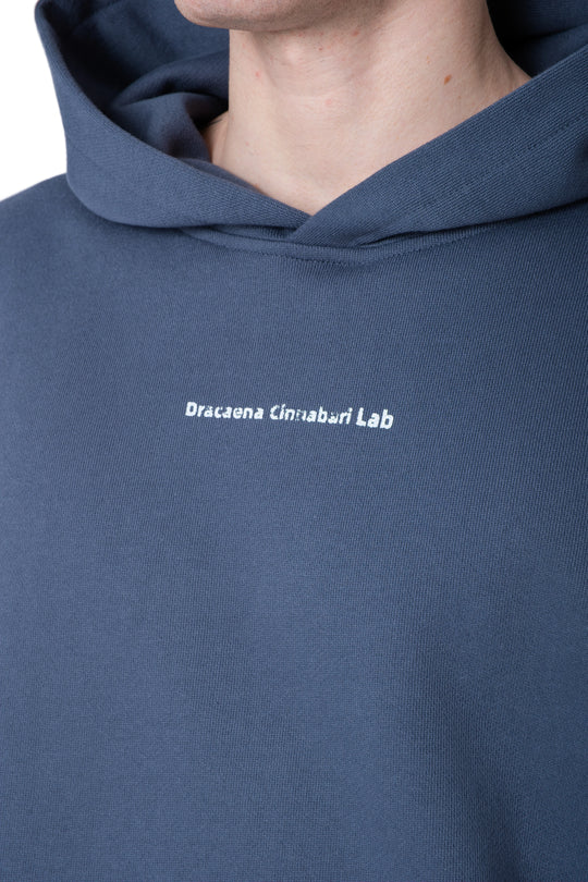 هودي dracaena lab