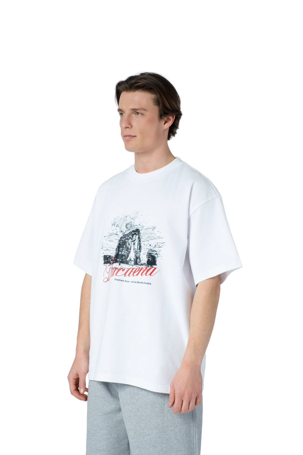 تيشيرت جبل الفيل (العلا)