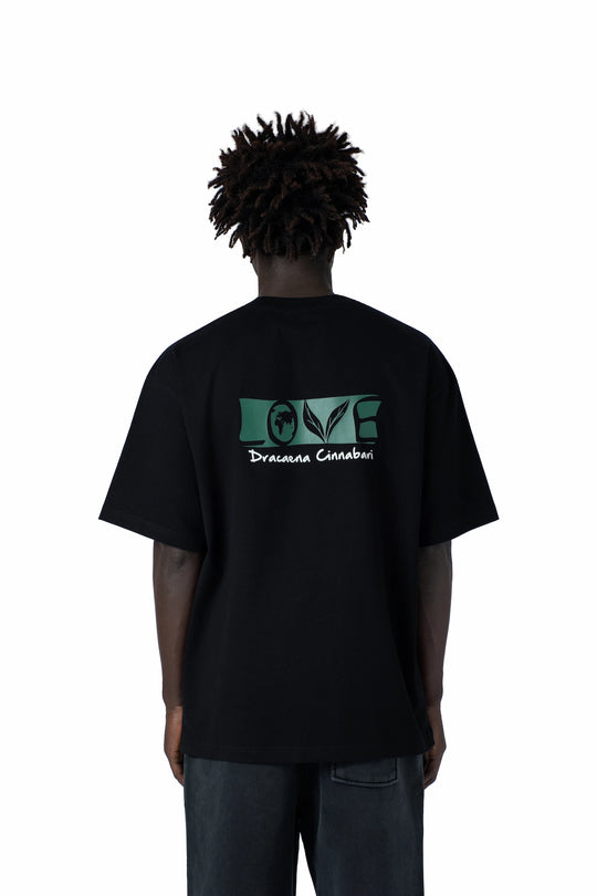 تيشيرت شجرة دراسينا سيناباري