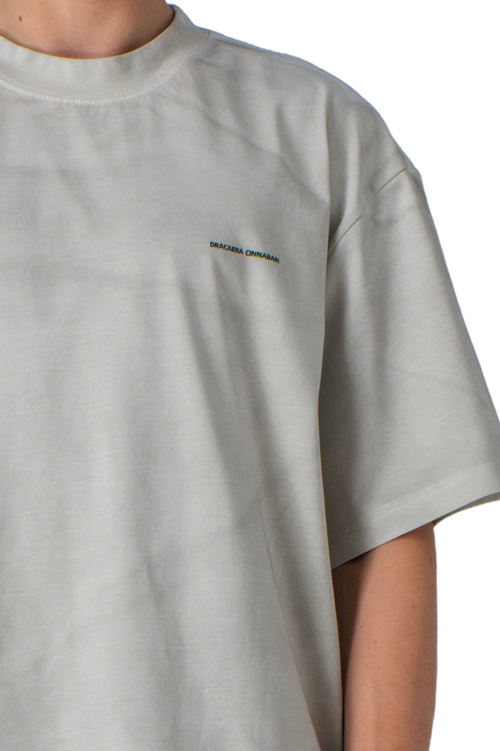 Grey washed t-shirt basic