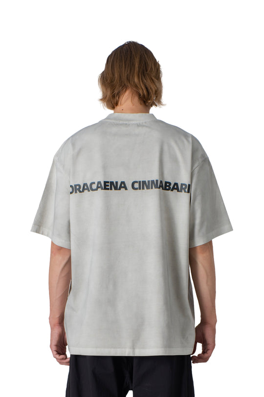 Grey washed t-shirt basic