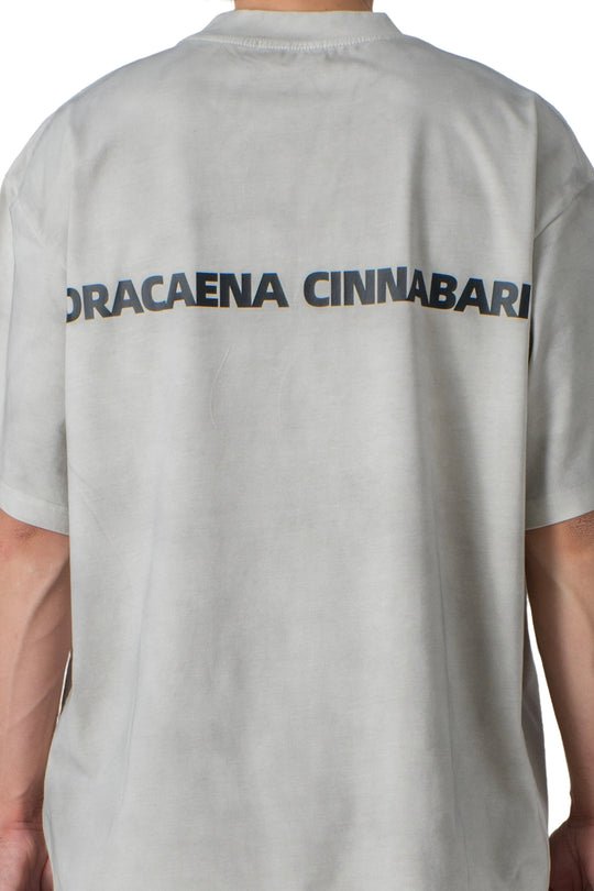 Grey washed t-shirt basic