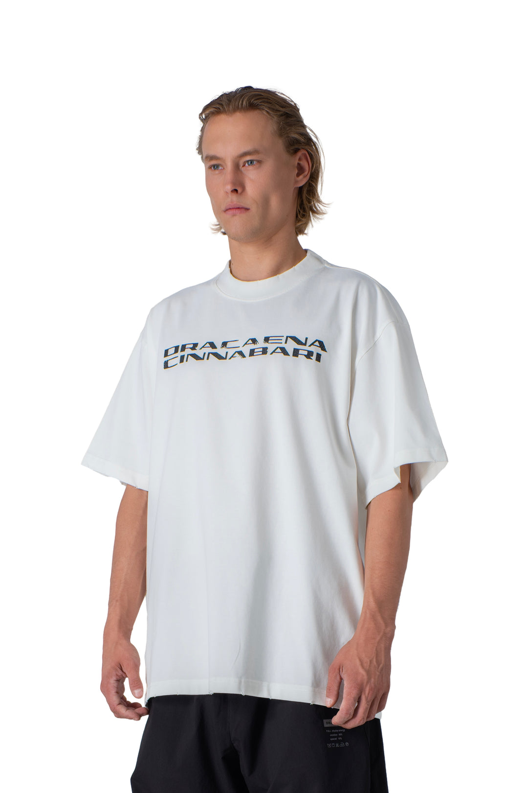  a white t-shirt with dracaena cinnabari text oversized men tshirt 